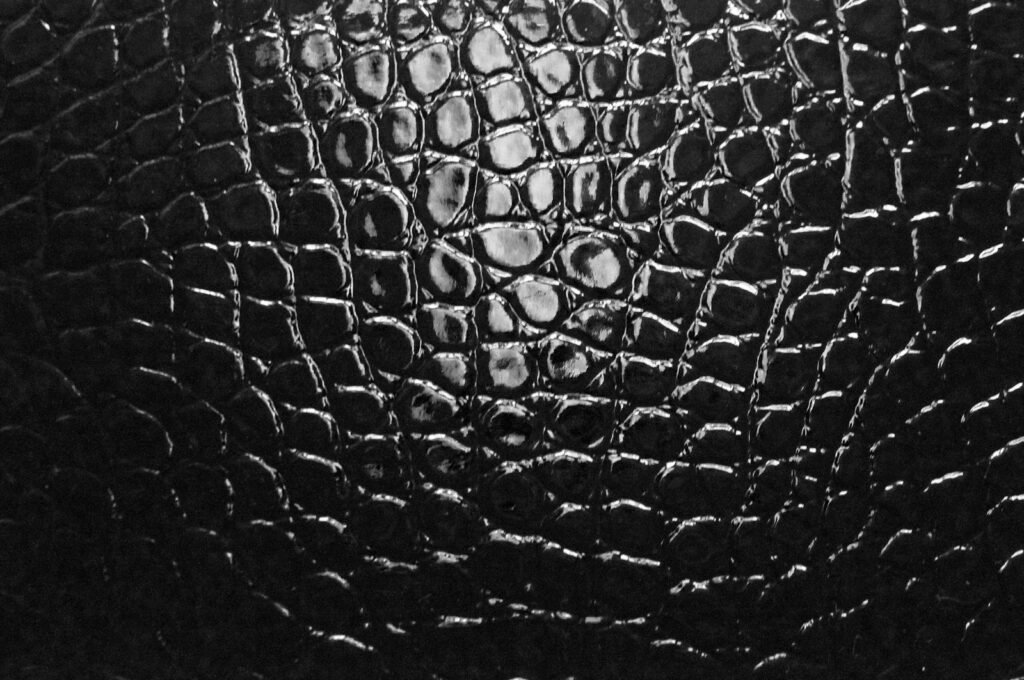 Black and white close-up photo of leather texture