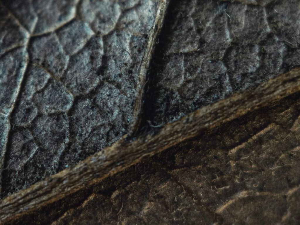 Close-up of a piece of cracked leather showing surface wear