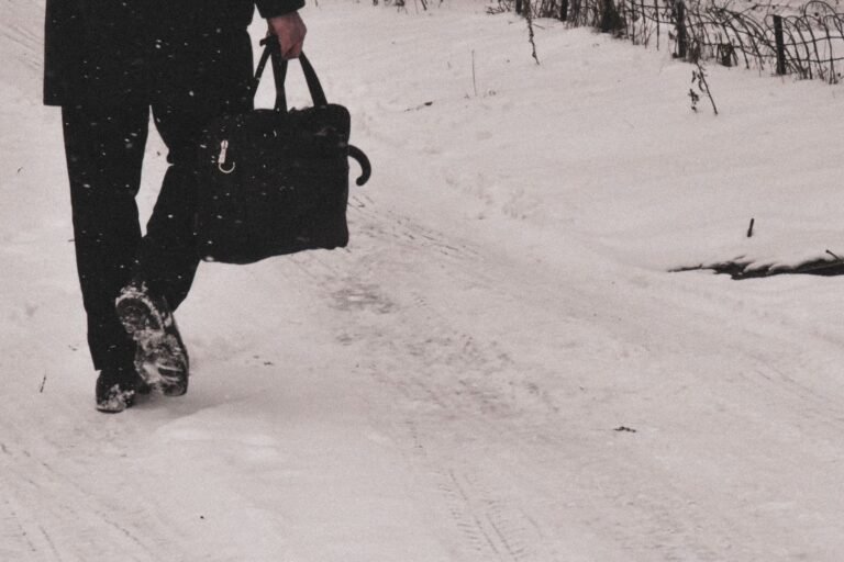 Adult walking through a snowy winter landscape holding a leather bag