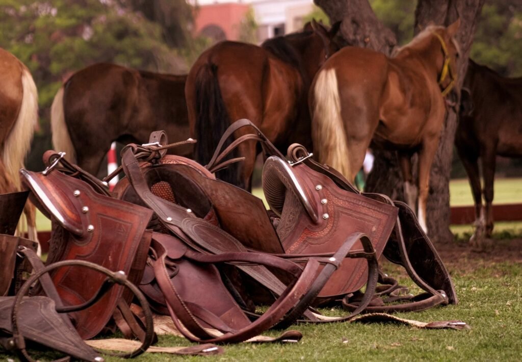 Leather horse saddles lying on grass with horses in the background