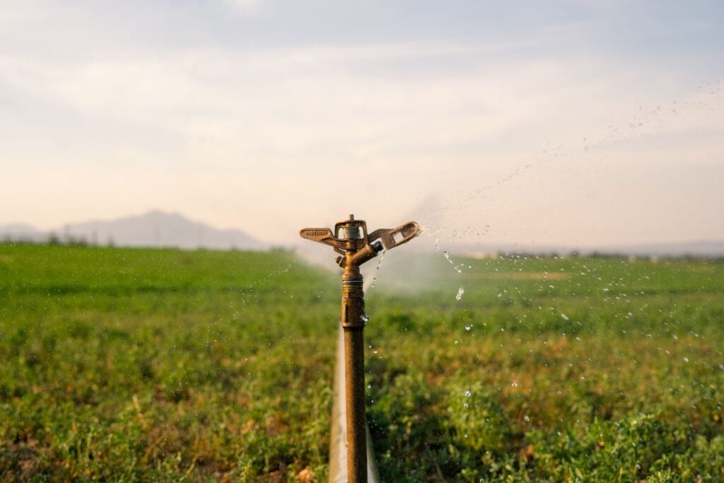A sprinkler watering a vast green field under a clear sky